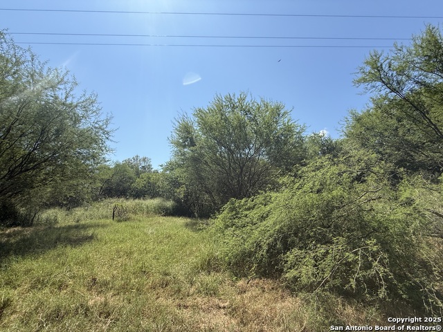 5751 Fm 541 Property Photo 12