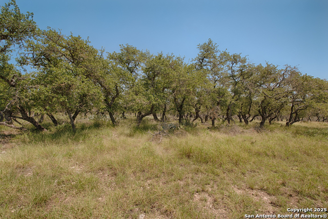 379 Bent Tree Property Photo 1