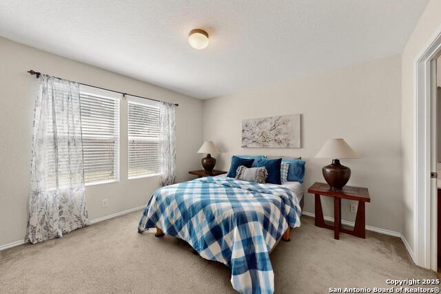 11714 Deer Mill Property Photo 21