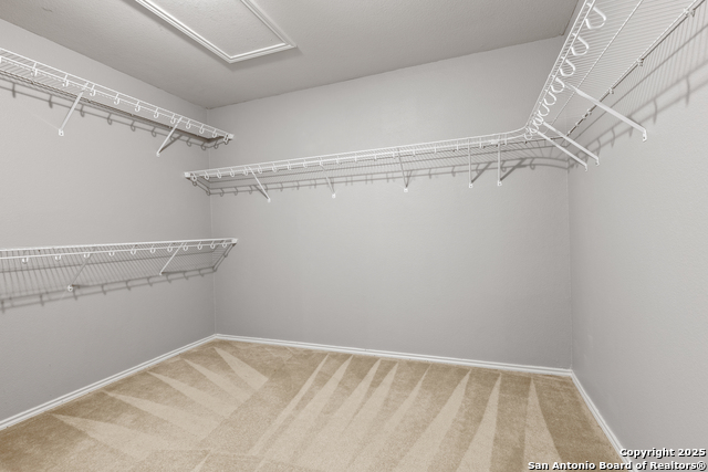 5202 Stormy Skies Property Photo 29