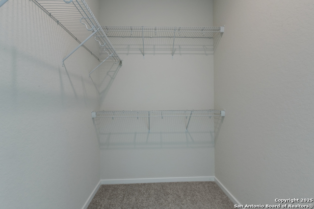 153 Beveridge Rd Property Photo 22