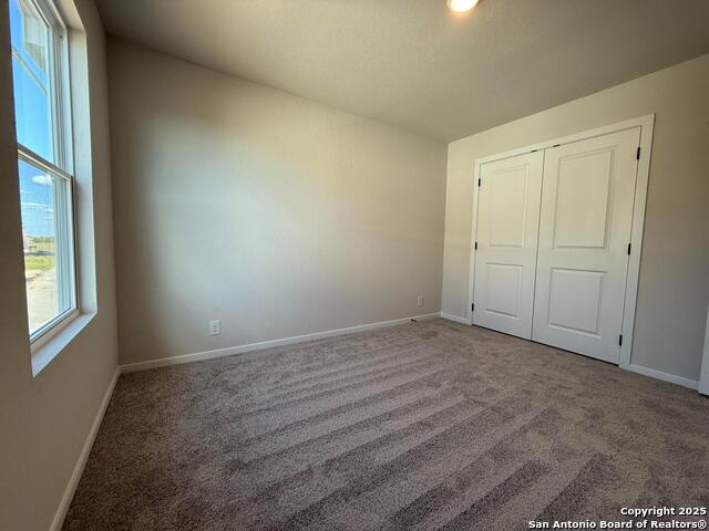 153 Beveridge Rd Property Photo 36