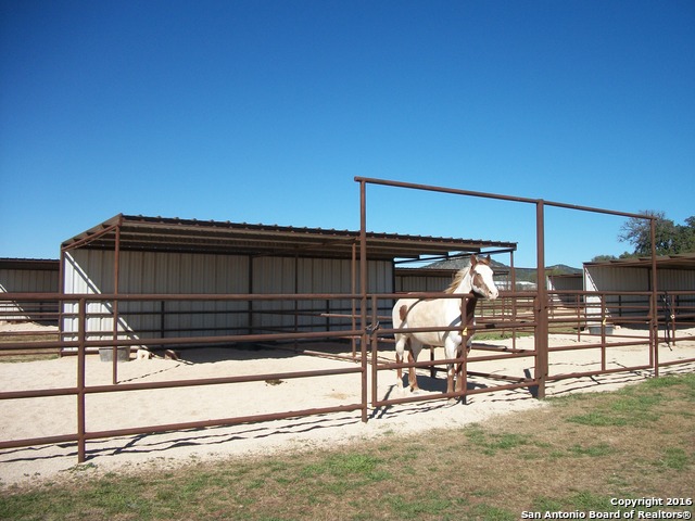 11217 Fm 470 Property Photo 15