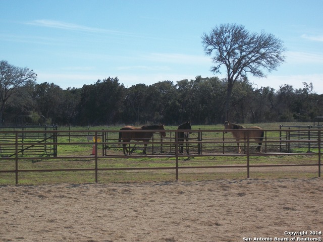 11217 Fm 470 Property Photo 18