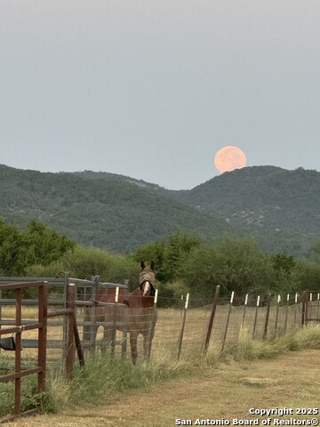 11217 Fm 470 Property Photo 19