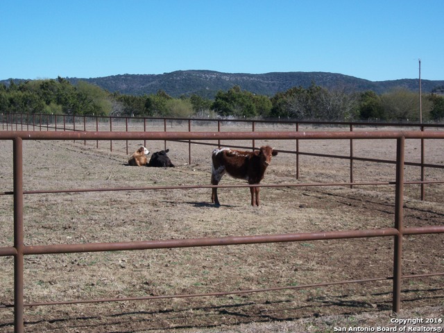 11217 Fm 470 Property Photo 22
