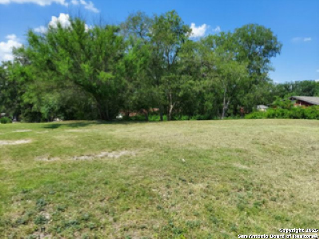 2303 Schley Property Photo 3