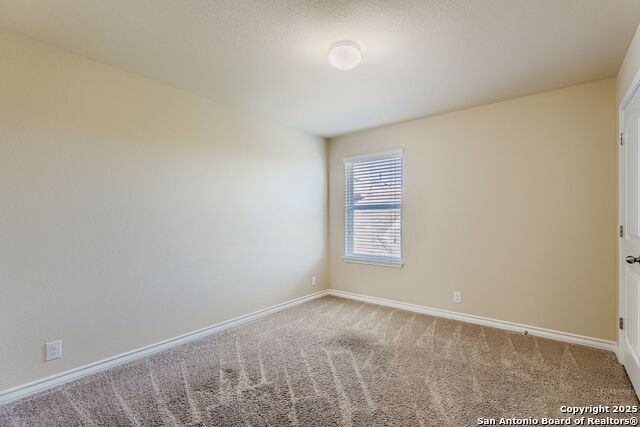 10703 Spirit Roam Property Photo 22