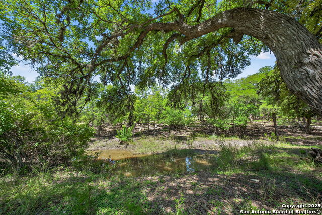 924 Wagon Creek Property Photo 28