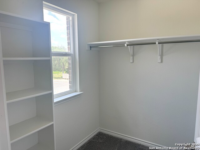 2006 Prometheus Cv Property Photo 19