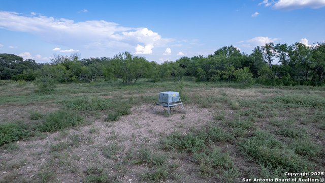 1 Utopia Forest Property Photo 6
