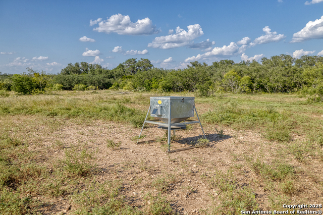 1 Utopia Forest Property Photo 7