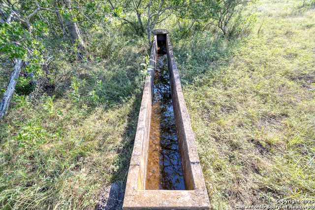 1 Utopia Forest Property Photo 8