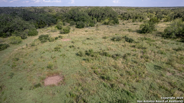 1 Utopia Forest Property Photo 11