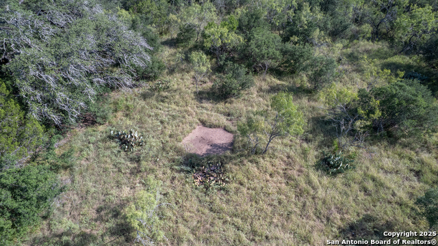 1 Utopia Forest Property Photo 12