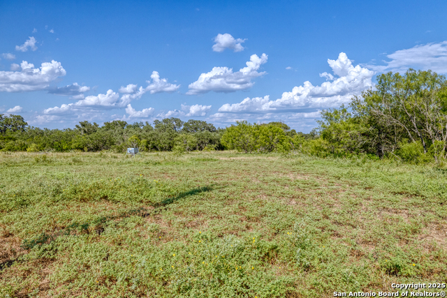 1 Utopia Forest Property Photo 13
