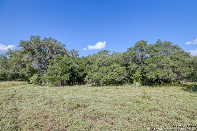 1 Utopia Forest Property Photo 15