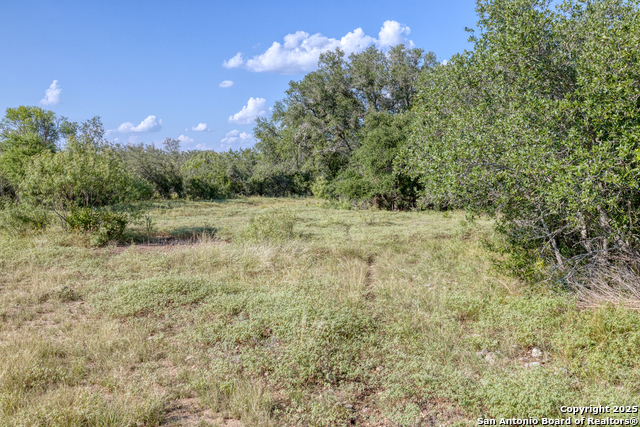 1 Utopia Forest Property Photo 17