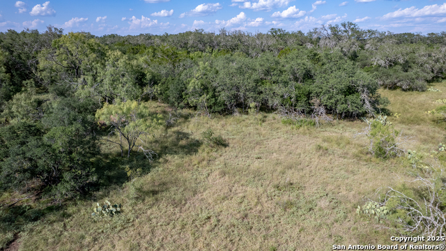1 Utopia Forest Property Photo 18
