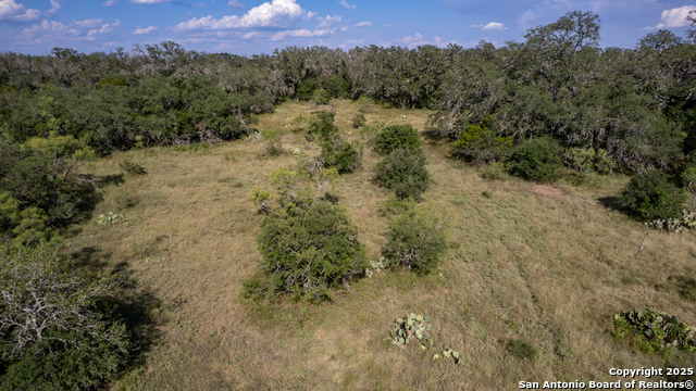 1 Utopia Forest Property Photo 19