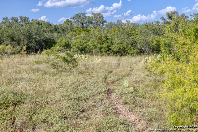 1 Utopia Forest Property Photo 20