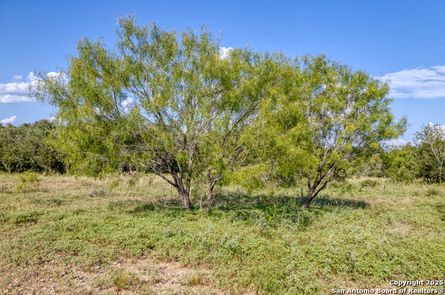 1 Utopia Forest Property Photo 21