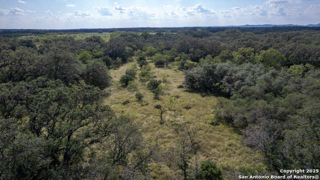 1 Utopia Forest Property Photo 22