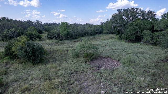 1 Utopia Forest Property Photo 24