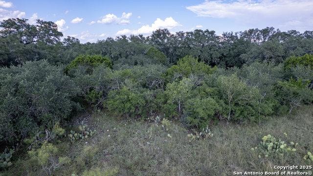 1 Utopia Forest Property Photo 25
