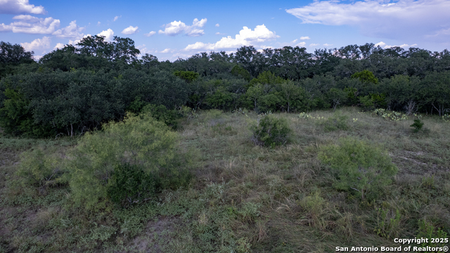 1 Utopia Forest Property Photo 26