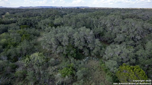 1 Utopia Forest Property Photo 27