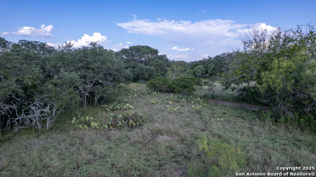 1 Utopia Forest Property Photo 28