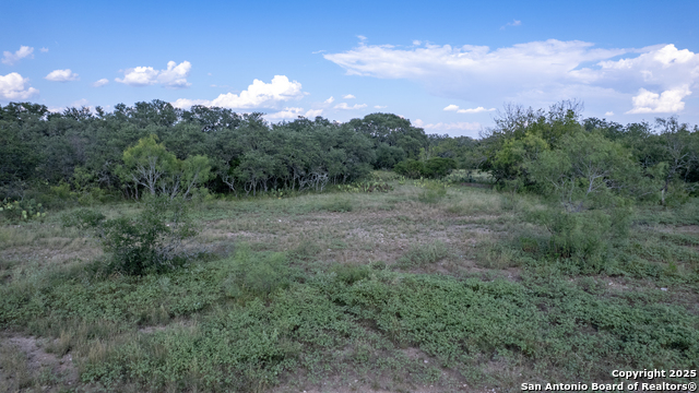 1 Utopia Forest Property Photo 29