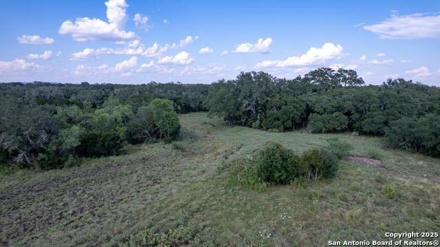 1 Utopia Forest Property Photo 30