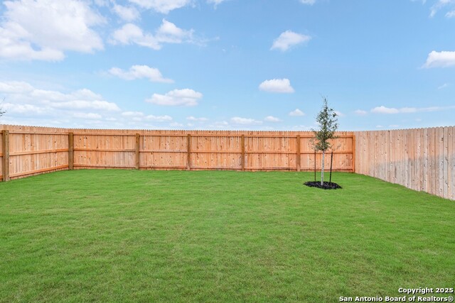 4293 Carlotta Drive Property Photo 32