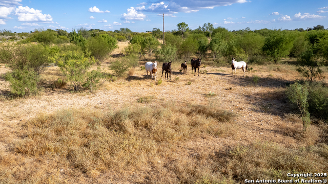 Tbd N Camp Property Photo 15