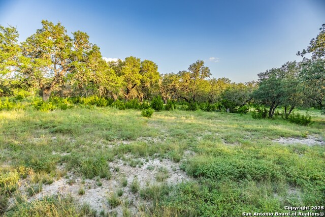 599 Mountain View Road Property Photo 26
