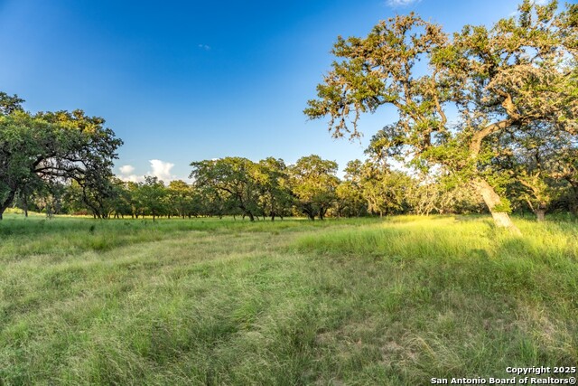 599 Mountain View Road Property Photo 38