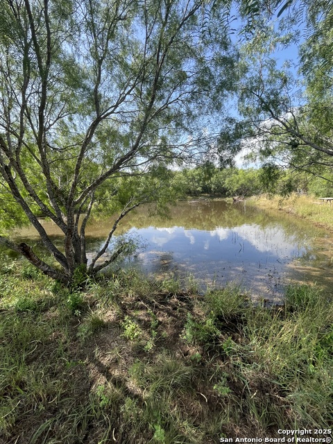 707 Deer Trail Property Photo 6