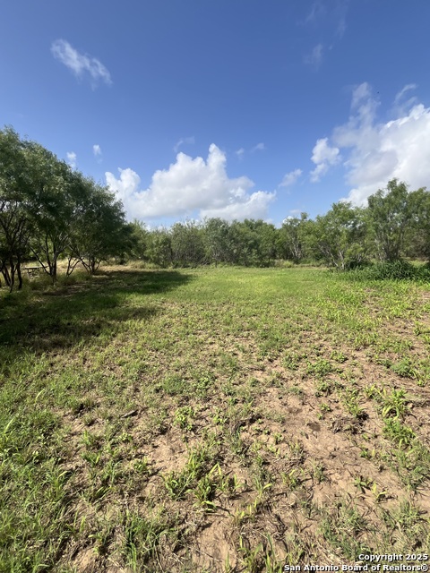 707 Deer Trail Property Photo 13