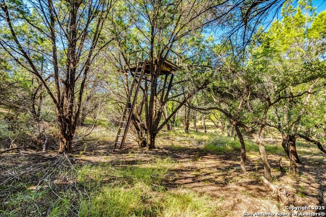 530 Stallion Estates Dr Property Photo 12