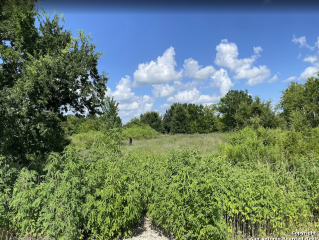 7931 Fm 1952 Property Photo 2