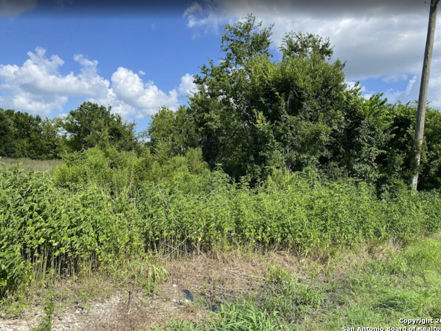 7931 Fm 1952 Property Photo 4