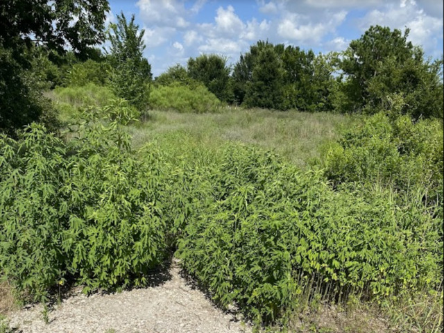 7931 Fm 1952 Property Photo 5