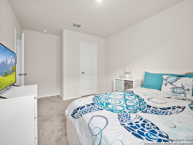 13218 Desana Springs Property Photo 21