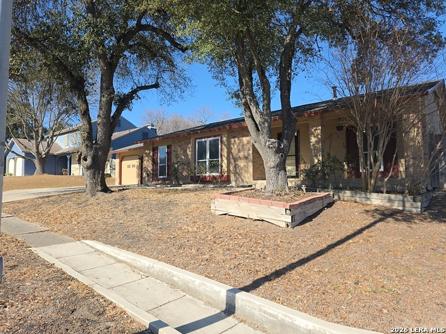 13339 Los Indios Property Photo 3