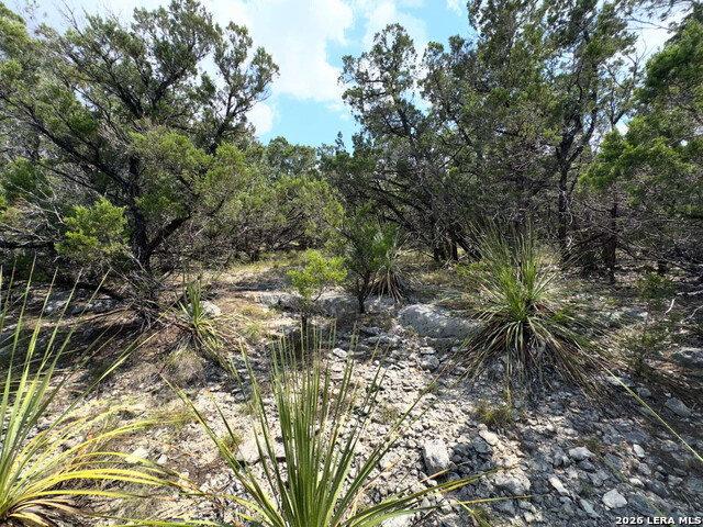 8902 Saddle Property Photo 6