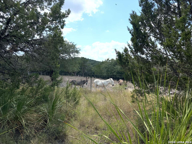 8902 Saddle Property Photo 9