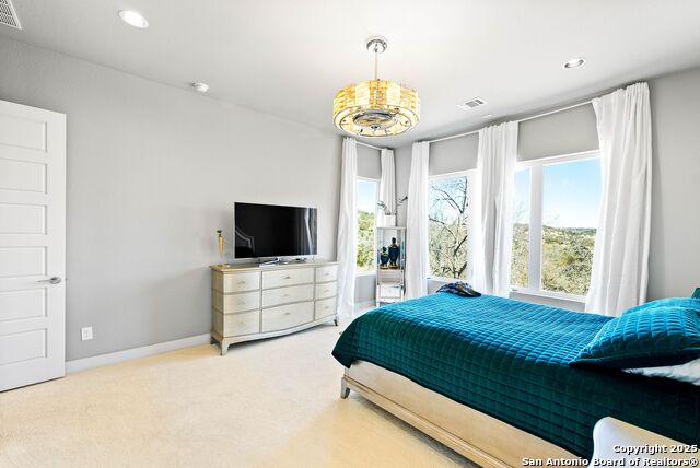 165 Antler Falls Run Property Photo 18