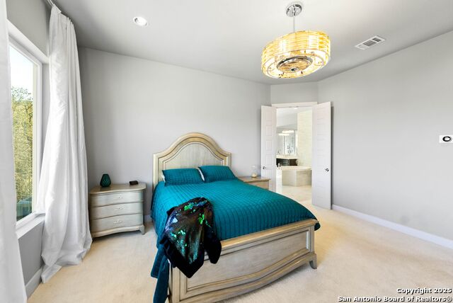 165 Antler Falls Run Property Photo 19